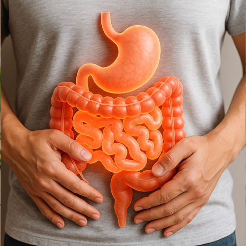 Digestive Health